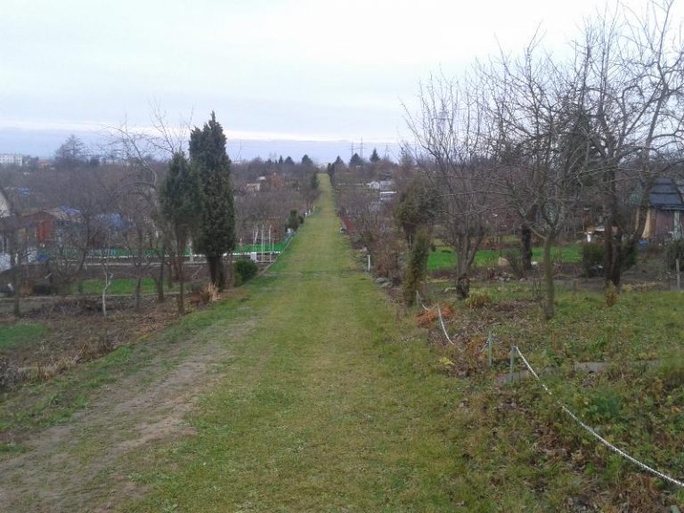 Kradzieże na działkach